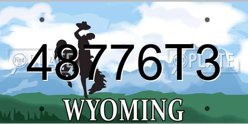 48776T3 Wyoming License Plate