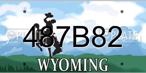 487B82 Wyoming License Plate