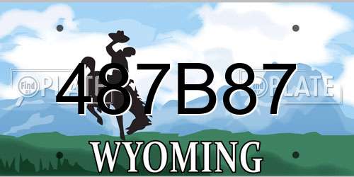487B87 Wyoming License Plate
