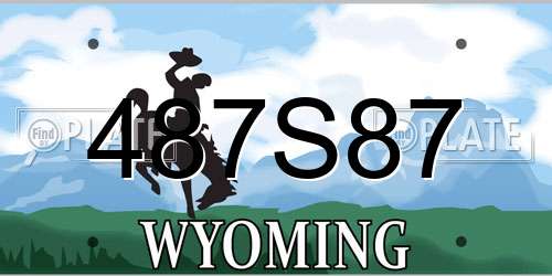 487S87 Wyoming License Plate