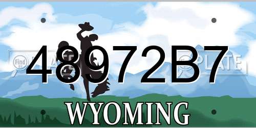 48972B7 Wyoming License Plate
