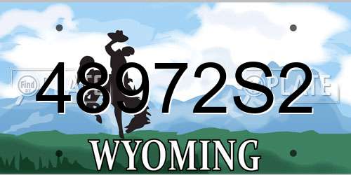 48972S2 Wyoming License Plate