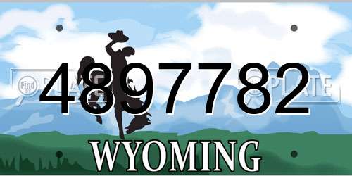 4897782 Wyoming License Plate
