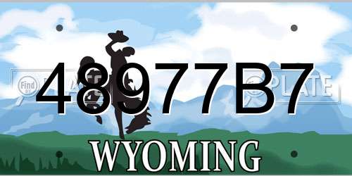 48977B7 Wyoming License Plate