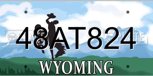 48AT824 Wyoming License Plate