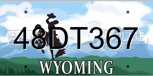 48DT367 Wyoming License Plate