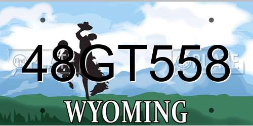 48GT558 Wyoming License Plate