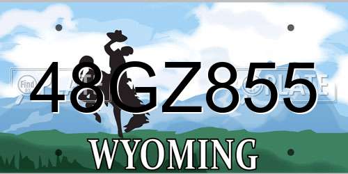 48GZ855 Wyoming License Plate