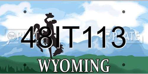 48IT113 Wyoming License Plate