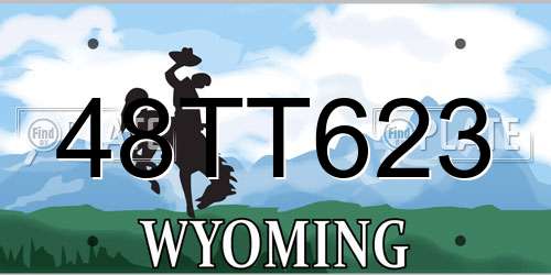 48TT623 Wyoming License Plate