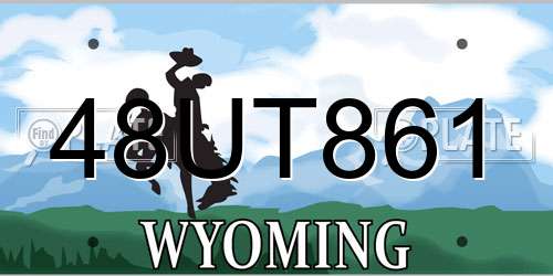 48UT861 Wyoming License Plate