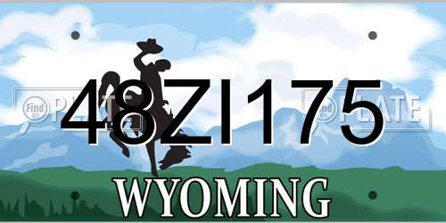 48ZI175 Wyoming License Plate