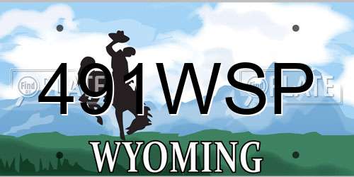491WSP Wyoming License Plate