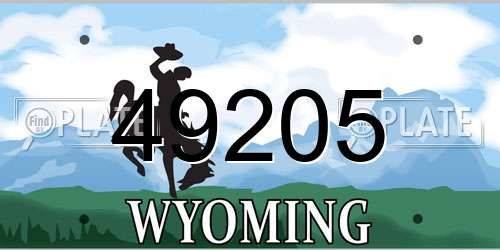 49205 Wyoming License Plate
