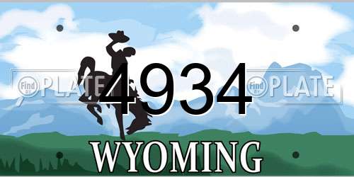 4934 Wyoming License Plate