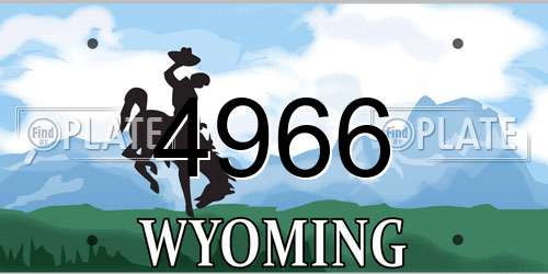 4966 Wyoming License Plate
