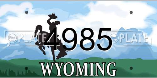 4985 Wyoming License Plate