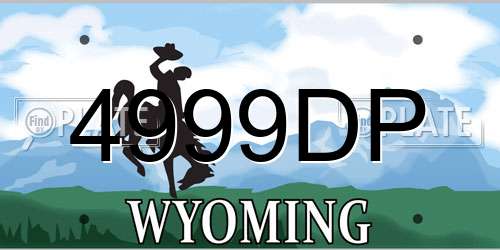 4999DP Wyoming License Plate