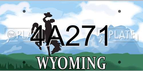 4A271 Wyoming License Plate