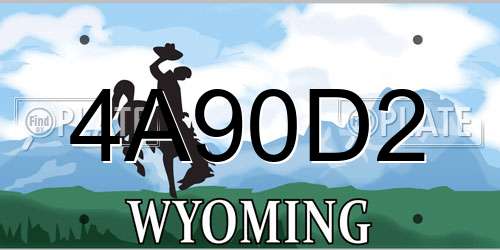 4A90D2 Wyoming License Plate