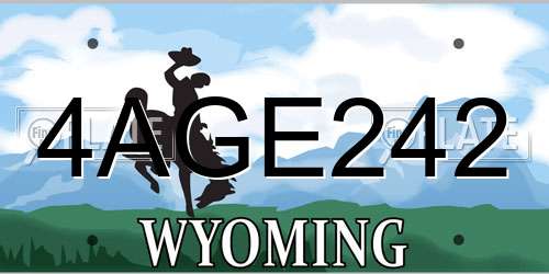 4AGE242 Wyoming License Plate