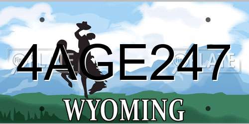 4AGE247 Wyoming License Plate