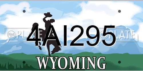 4AI295 Wyoming License Plate