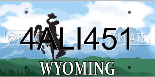 4ALI451 Wyoming License Plate