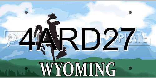 4ARD27 Wyoming License Plate