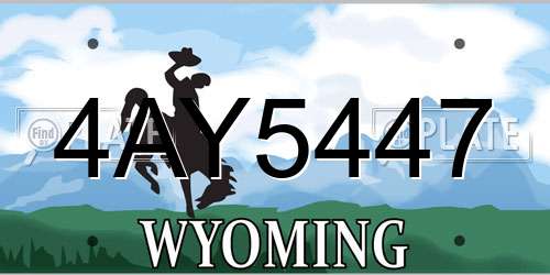 4AY5447 Wyoming License Plate