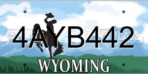 4AYB442 Wyoming License Plate