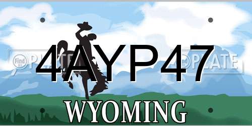 4AYP47 Wyoming License Plate