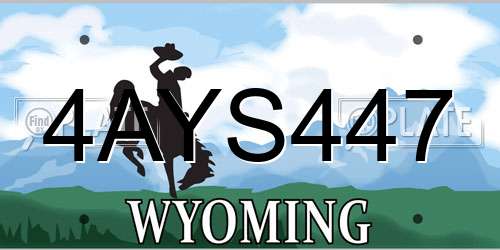 4AYS447 Wyoming License Plate
