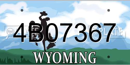 4B07367 Wyoming License Plate
