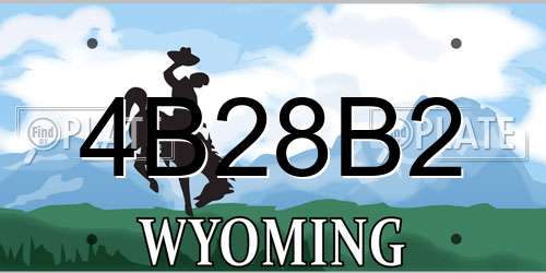 4B28B2 Wyoming License Plate