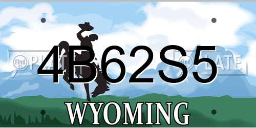 4B62S5 Wyoming License Plate