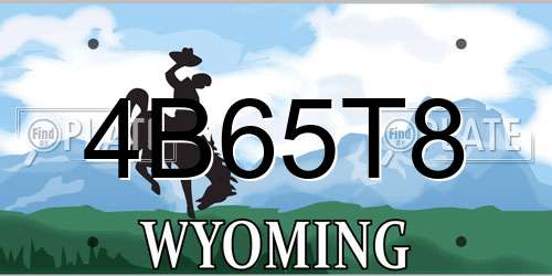 4B65T8 Wyoming License Plate