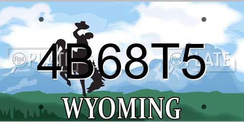4B68T5 Wyoming License Plate