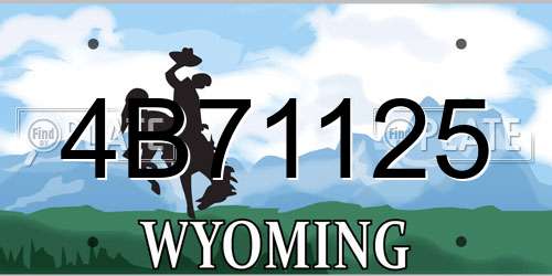 4B71125 Wyoming License Plate