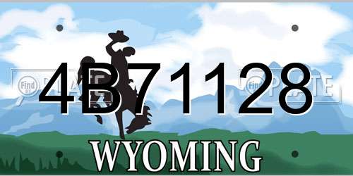 4B71128 Wyoming License Plate