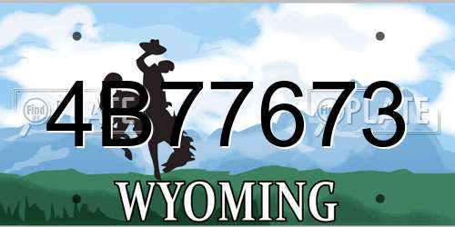 4B77673 Wyoming License Plate