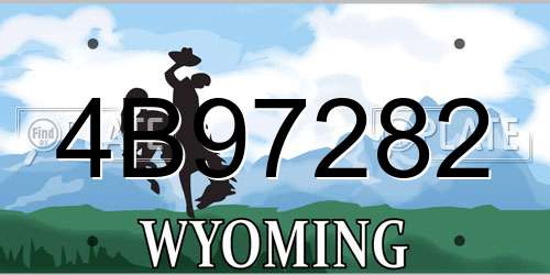 4B97282 Wyoming License Plate