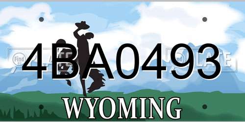 4BA0493 Wyoming License Plate