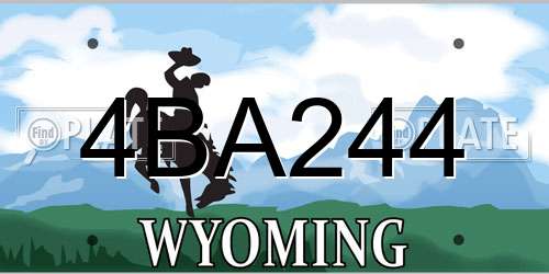 4BA244 Wyoming License Plate