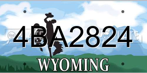 4BA2824 Wyoming License Plate