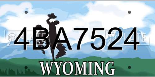 4BA7524 Wyoming License Plate