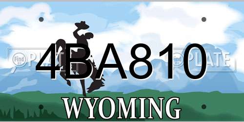 4BA810 Wyoming License Plate