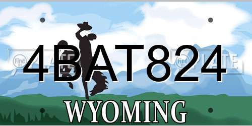 4BAT824 Wyoming License Plate