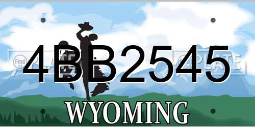 4BB2545 Wyoming License Plate