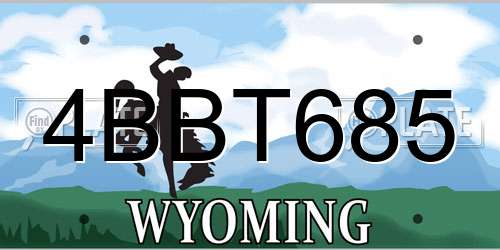 4BBT685 Wyoming License Plate